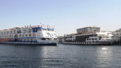 699200975598202511120335123512