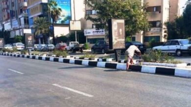 أخبار أسوان| مشاركة مجتمعية في التجميل.. وحملات رقابية على الأنشطة التجارية والمنشآت 5 699200975598202511151242254225