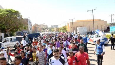 إطلاق ماراثون للمشي.. والمحافظ يتابع لحالة الصحية لمُصابي حادث طلاب مهرجان الإسماعيلية بالطريق الصحراوي 6 699200975598202511160222362236