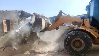 69920097559820251127125500550