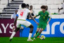 700825964446202511110825502550