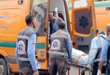 7011395793464202511010220202020