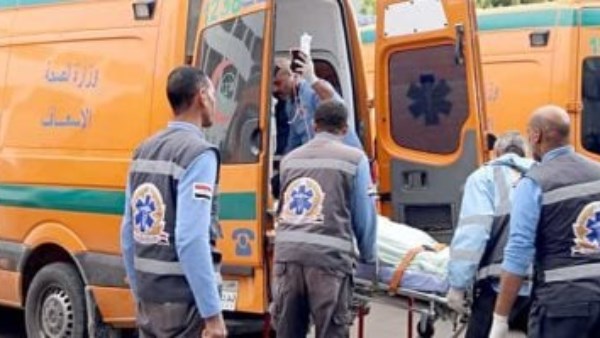 7011395793464202511010220202020