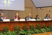 7042952687220251111072206226