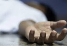 7042952687220251116093804384