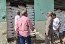 707173584720620251110080825825