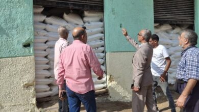 الإسماعيلية.. مديرية الزراعة تصرف الأسمدة للموسم الشتوي 5 707173584720620251110080825825