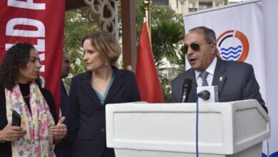 709893077924202511131036523652