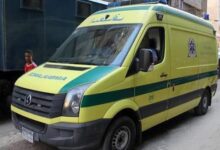 7145580211202511110449194919