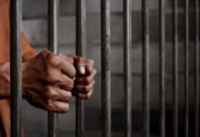 714558021120251113010957957