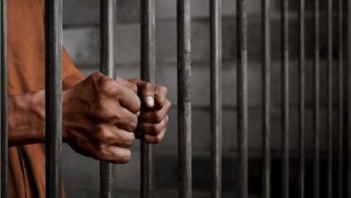 714558021120251113010957957