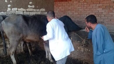 7145580211202511141051245124