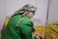 714558021120251115085400540