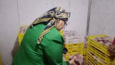 ضبط 2 طن عجينة كفتة وحواوشي مجهولة المصدر بحملة تموينية بشبين القناطر 6 714558021120251115085400540