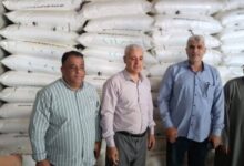 716257971529202511120338393839