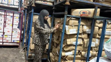 ضبط 314 طن كيلو جرام لحوم مجمدة منتهية الصلاحية وغير صالحة للاستهلاك الآدمي ببلبيس 5 71625797152920251112104702472