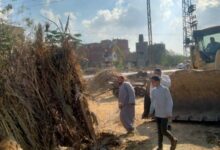 71625797152920251114020156156