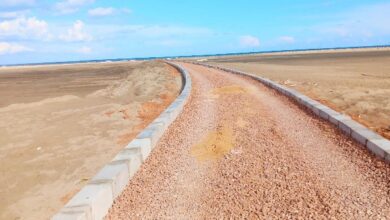 7171768593896202511140243564356