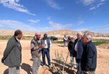 7201850523514202511270157445744