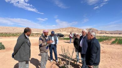 7201850523514202511270157445744