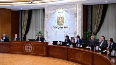 721593319286202511100738413841