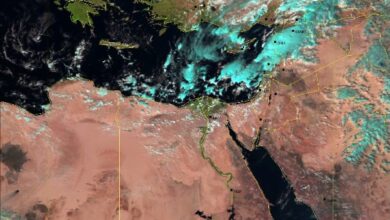 72159331928620251113070325325