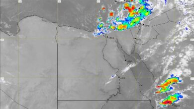 721593319286202511140945134513