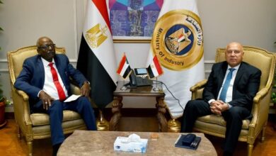 الاتفاق على تنفيذ الشركات المصرية المتخصصة أعمال الصيانة لعدد من الكباري بالسودان 5 7222137528726202511140339483948