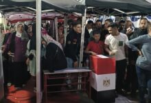 726497641467202511110843174317