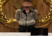 728752937161202511151235373537