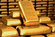 730770149900202511190631353135