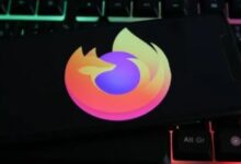 7311535884578202511120625542554