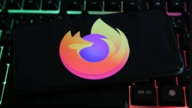 7311535884578202511120625542554