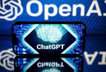 7311535884578202511130626242624