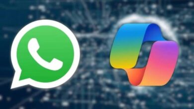 7311535884578202511280829132913