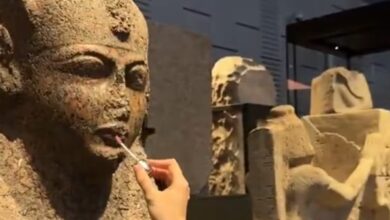 7521046738006202511111122362236