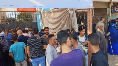 759129037262202511111136123612