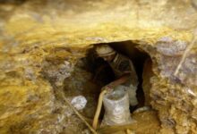 759129037262202511140825482548