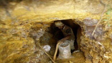 759129037262202511140825482548