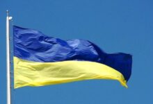 759129037262202511140837563756