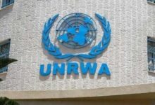 759129037262202511141133513351