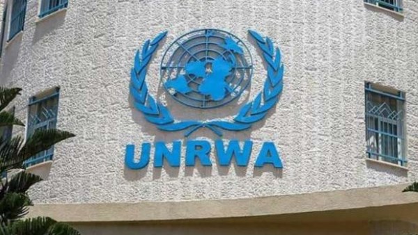 759129037262202511141133513351