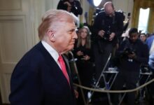 759129037262202511150234343434