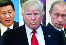 759129037262202511150328242824