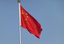 759129037262202511150343414341