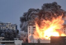 759129037262202511190435383538