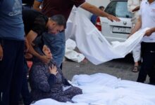 759129037262202511270213201320