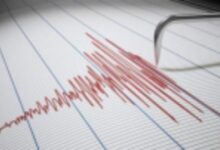 75912903726220251127080647647