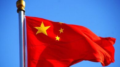 759129037262202511271116191619