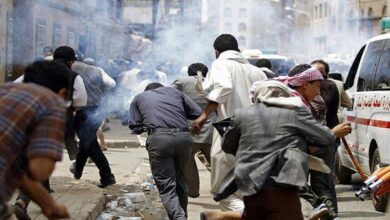 759129037262202511280834363436